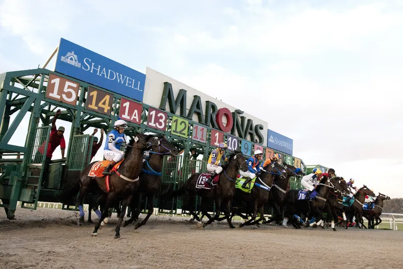 hipodromo-maronas